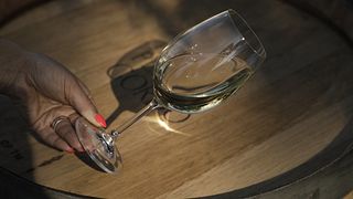Tasting of the Land | Quinta das Arcas