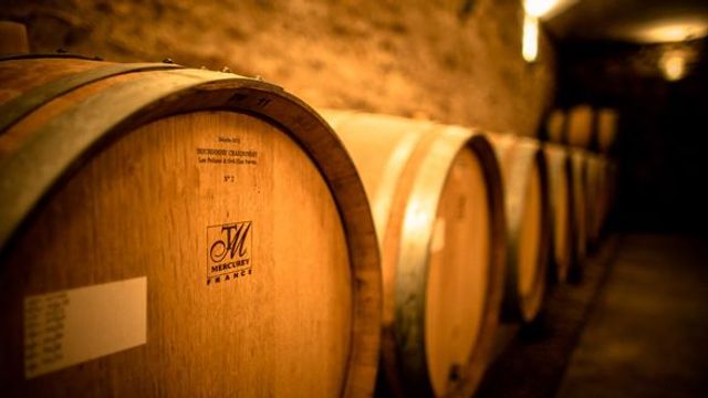 Domaine des Terres De Velle