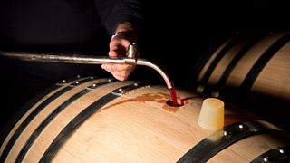 Vinprovning och rundtur på Domaine Gavignet Père & Fils
