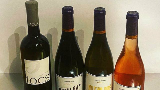 Vinprovning och rundtur på Terres De Vidalba - Doq Priorat