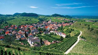 Degustazione di vini e visita al Kaiserstuehler Winzerverein Oberrotweil