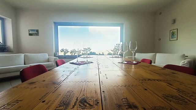 Visit to the cellar, vineyards and tasting of the most representative wines