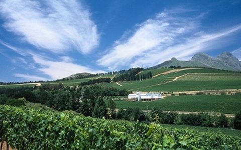 Coastal Region Wine & Stay at Ladybird Vineyards