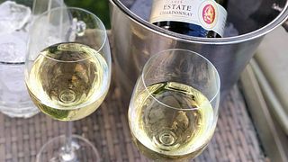 Cata de vinos y exploración de variedades en Paul Cluver Wines