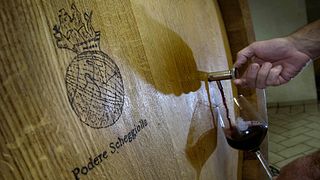 Degustazione Vini | Scheggiolla