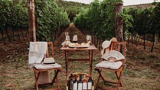 Winery Vukicevic