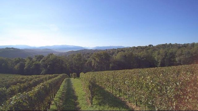 La Cave Des Producteurs De Jurançon