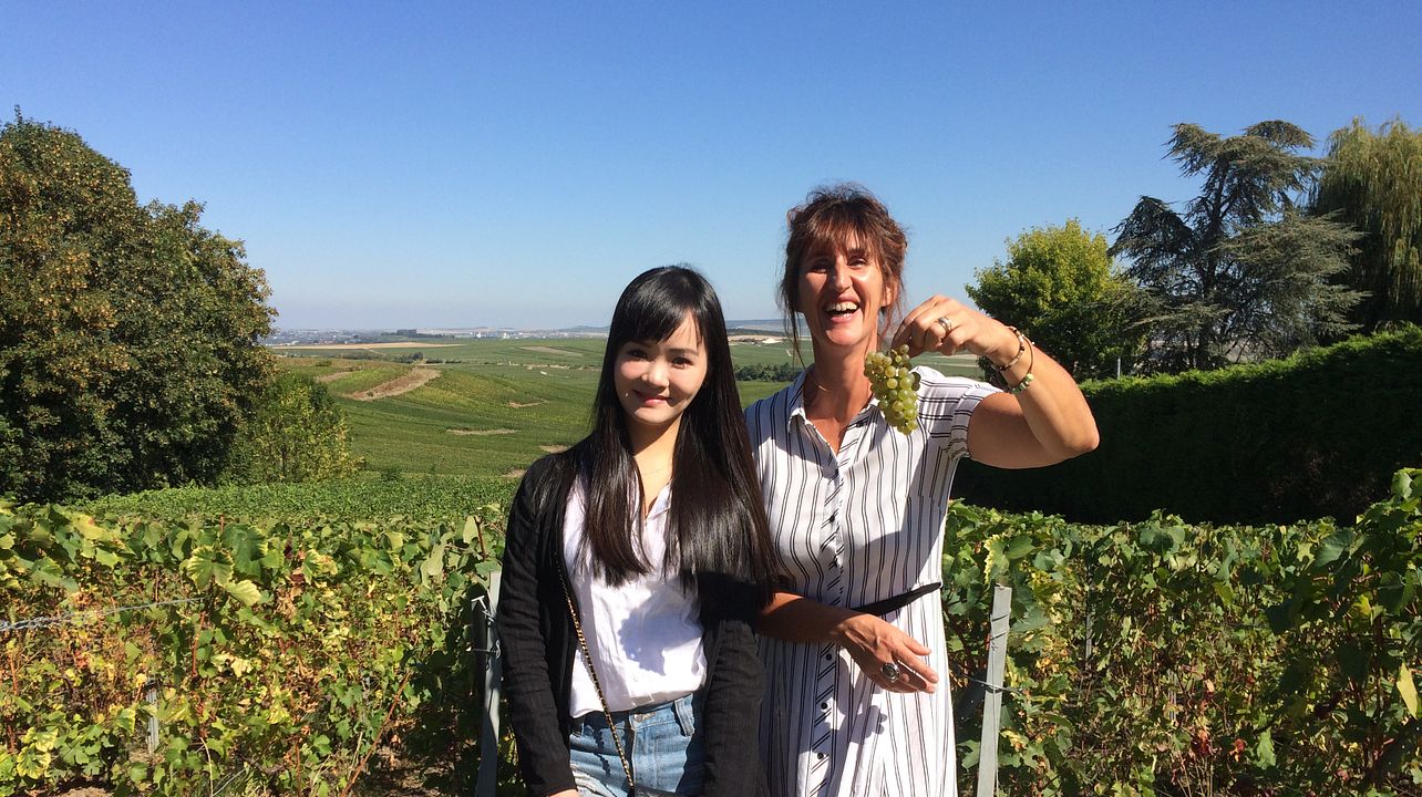 Angélique  , the connoisseur of the Champagne region