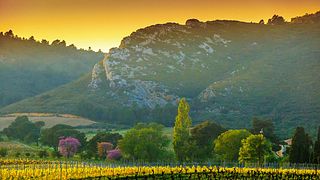 Château Ollieux Romanis