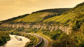 Degustazione di vini e visita alla cantina Höfling