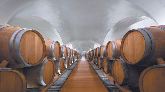 Feudi Studi – Tour, Wein und hirpinische Aromen