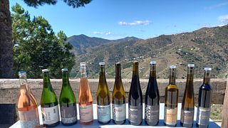 Visita a la bodega y cata de vinos