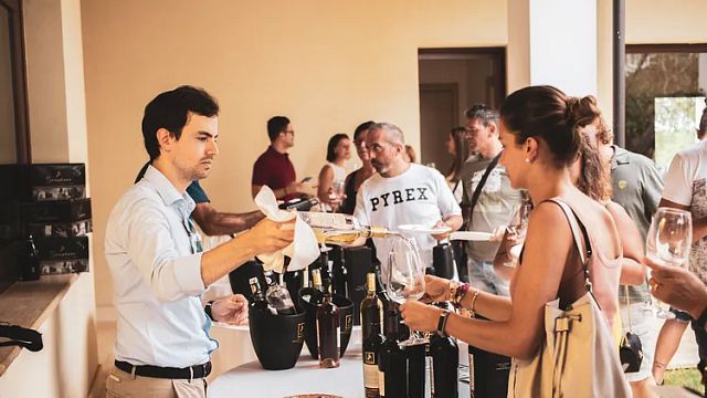 Senatore Vini