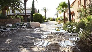 Dégustation de vins et visite à la Bodega Finca Biniagual