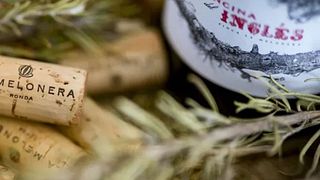 Bodega La Melonera