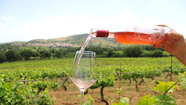 Une dégustation de vins très typique au cœur de la Sardaigne | Cantina Mussennore Mamoiada