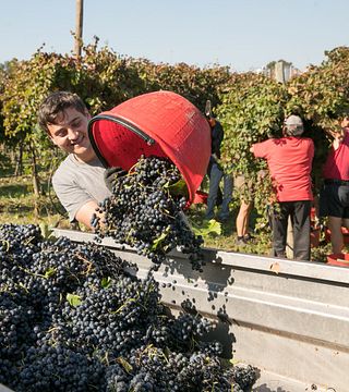 Emilia-Romagna Balsamic & Wine Tasting Tour