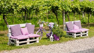 Tour de degustação de vinhos em Valpolicella