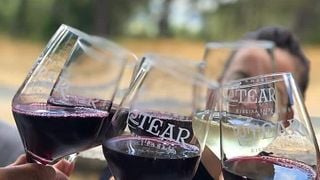 Degustação de vinhos populares na Adega Tear