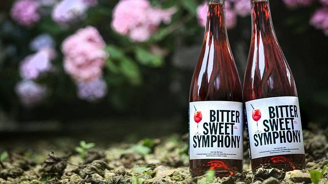 Cata de vinos personalizada y visita guiada en Wijndomein Helshoven