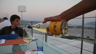 Degustazione di vini e tour al Domaine Albert Seltz