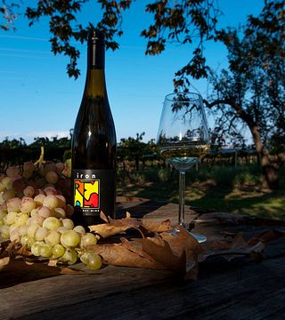 Cata de vinos y visita guiada a la bodega Acheon
