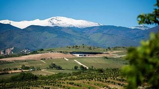Aya Estate Vineyards