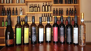 Visita y cata de vinos en Borgo Paglianetto