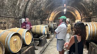 Farm visit and organic wine and EVO oil tasting with platter