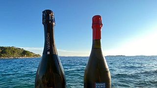 Veneto Vineyard Tour & Wine Tasting at Valdellovo