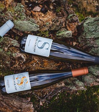 Schlagkamp Winery