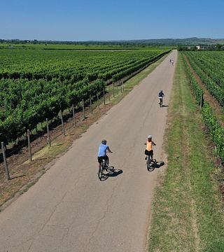 Oana