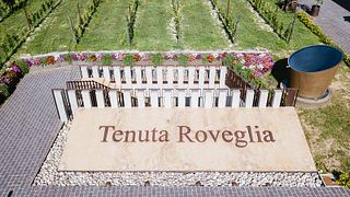 Il Tour della Conoscenza/ Path of Knowledge 