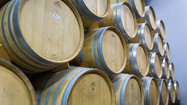 Bodegas Y Viñedos Gancedo