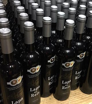 Degustazione di vini e tour a Lapa Dos Reis
