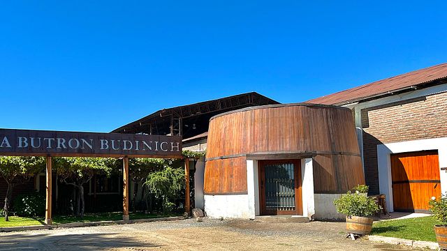 Erbe des Weinguts Butrón Budinich