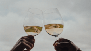Lisbon Wine & Vineyard Tour at Quinta Da Almiara