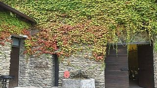 Leonardo Da Vinci Wine Tasting and Tour | Cantina Bignotti