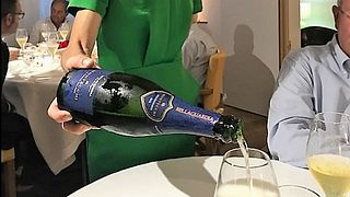 Wine Tasting and Tour at Bellaguardia