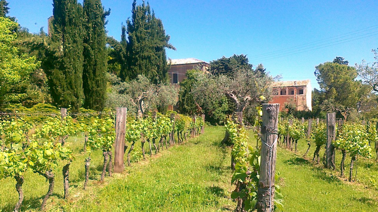 Wine Tasting Experience | Abbazia di Propezzano 