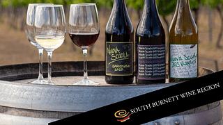 New Wine Experience School