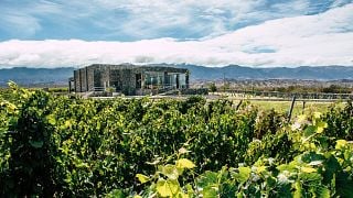 Norte Wine Adventure: High-Altitude Tasting & Tour