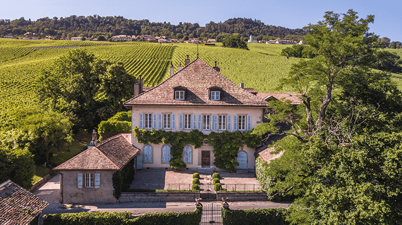 Cata de vinos en el Château de Malessert