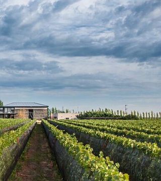Bodega Caelum