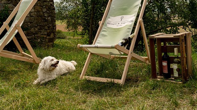 WeinZeit de Engelhard -Picknick