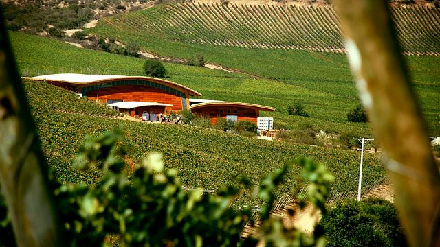 Maipo Wine & Chocolate Pairing at Viña Chocalán