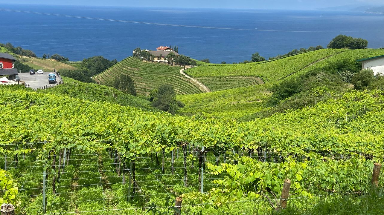 Experiência com vinho Txakoli