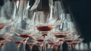 CATA DE CINCO VINOS EN EL CENTRO HISTÓRICO DE NEIVE