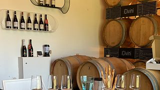 Weinprobe: Hinter den Kulissen unseres Weinguts iDivini