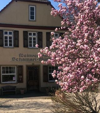 Rheingau Riesling & Pinot Noir Tasting at Schamari Mühle